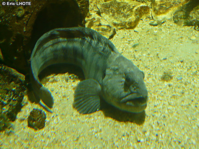 -20120822230316.jpg