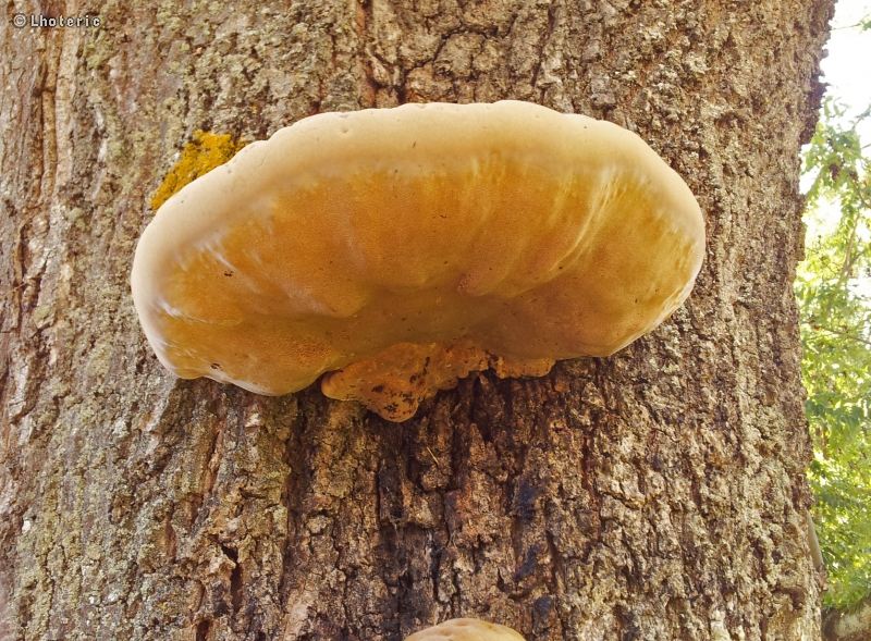 -20120903235303.jpg