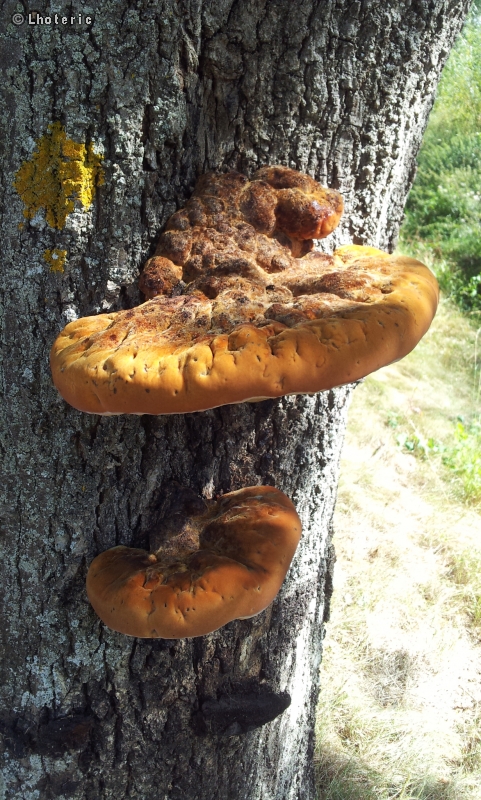 -20120903235416.jpg