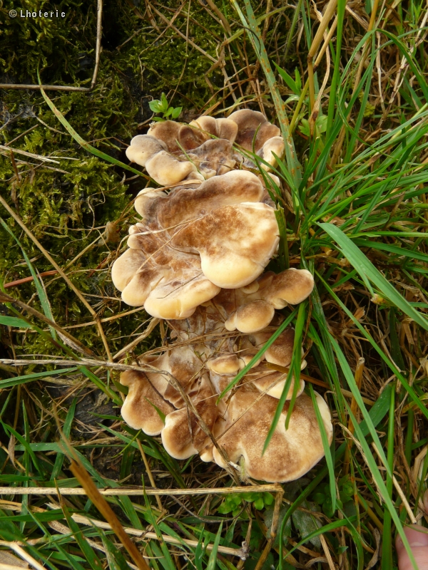 -20121002132853.jpg