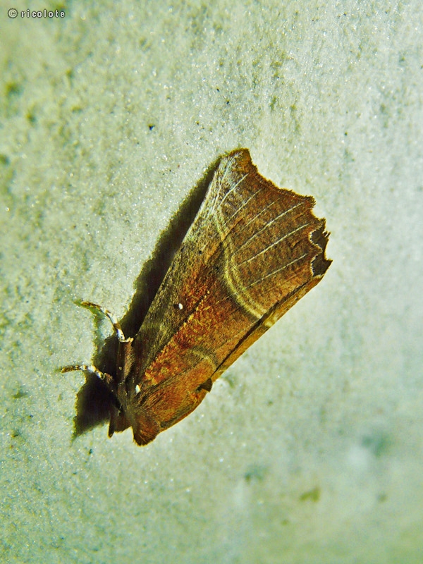-20130711141015.jpg