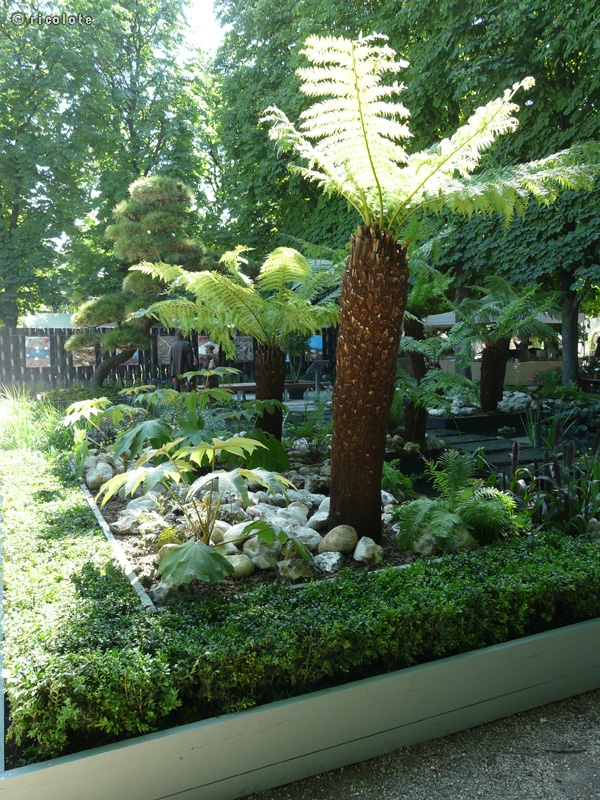 -20140528210633.jpg