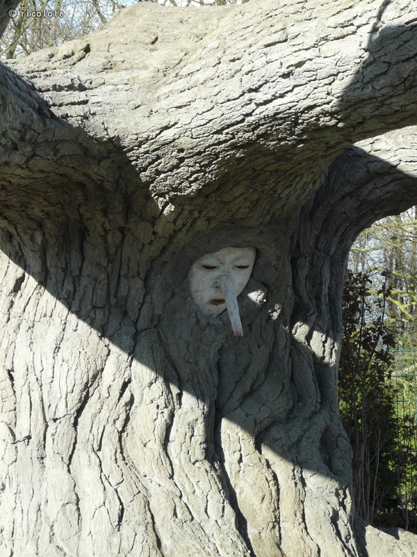 Arbre qui parle