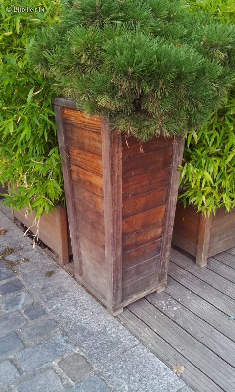 Bac jardiniÃ¨re en bois