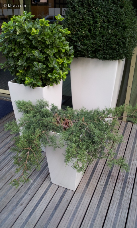 Bac jardiniÃ¨re en rÃ©sine laquÃ©e blanc