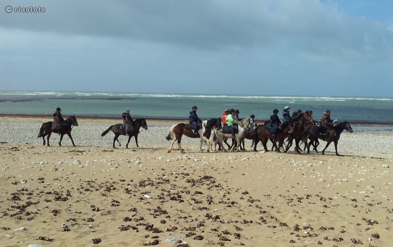 Balade Ã  cheval