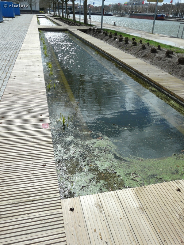 Bassins miroirs en canal
