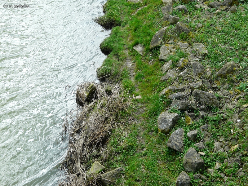 Berge inondable avec enrochements