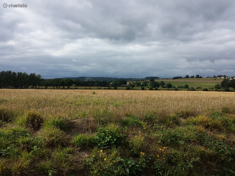 Bocage
