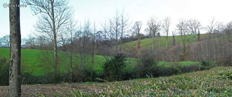 Bocage normand en hiver