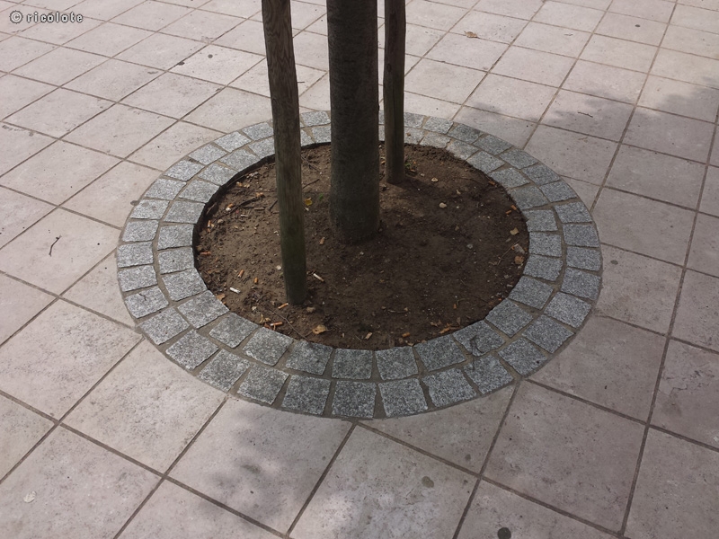 Bordure d\'arbre en pavÃ©s
