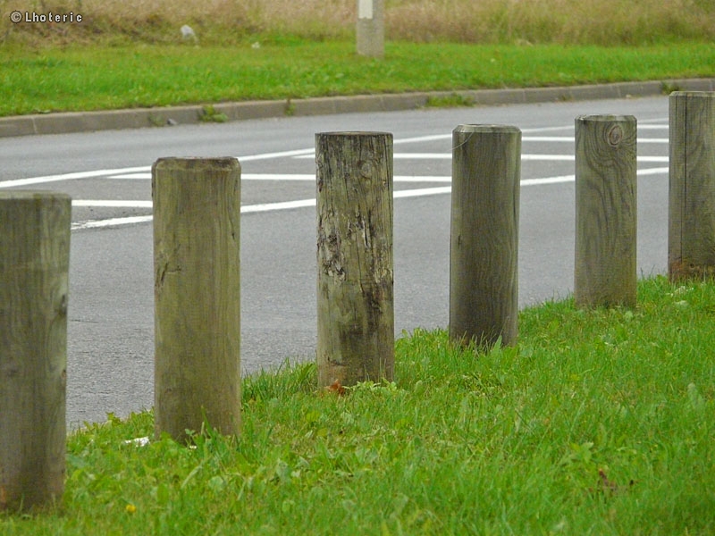 Bornes en bois