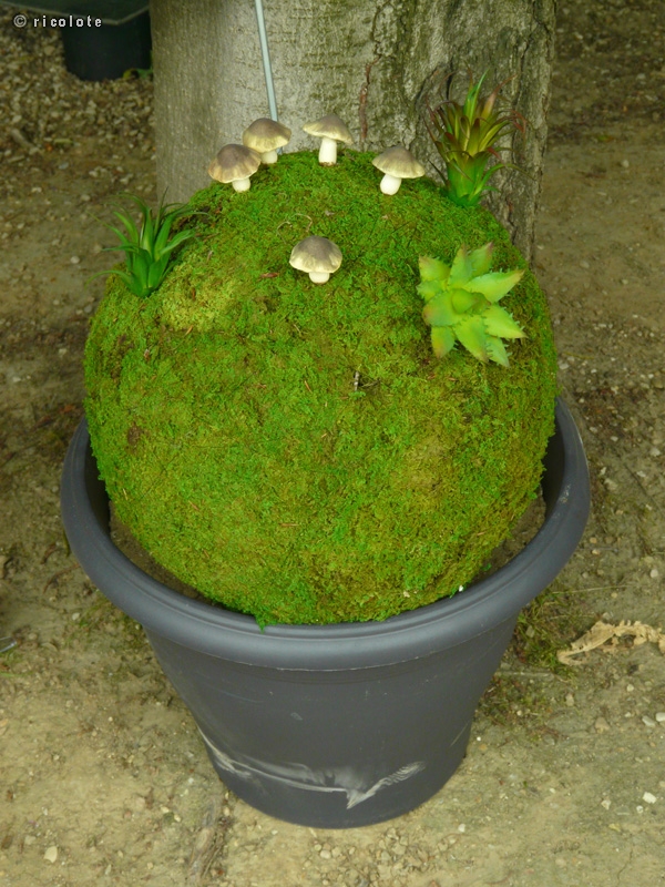 Boule de mousse