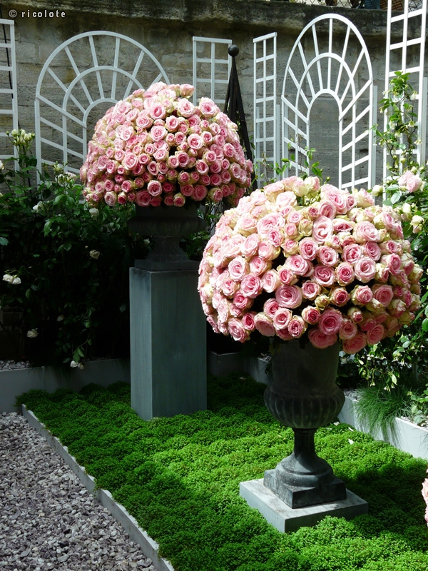 Boules de roses