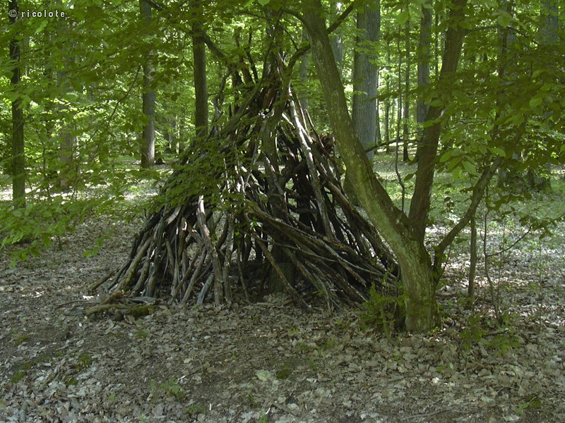 Cabane dans les bois