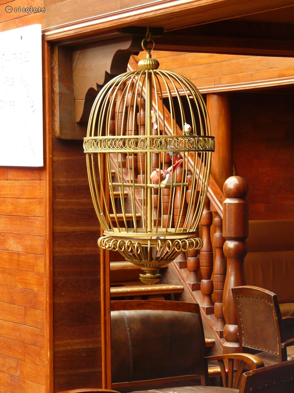 Cage Ã  oiseaux