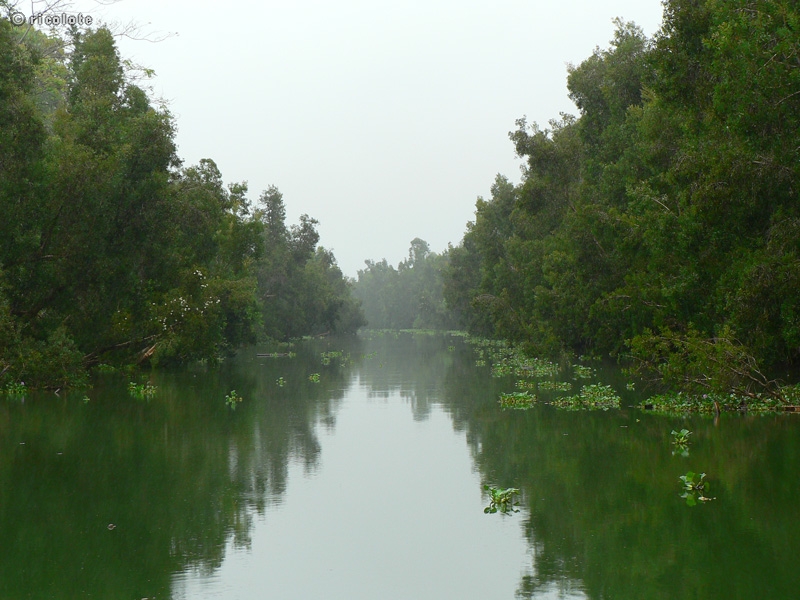 Canal de pangalanes