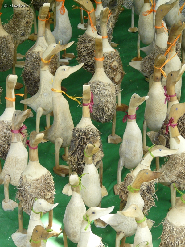 Canards en bois
