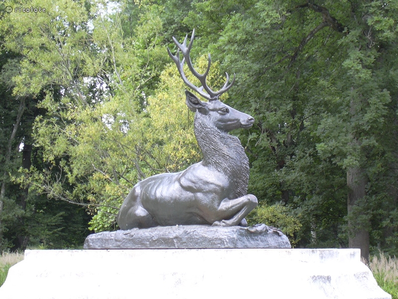 Cerf