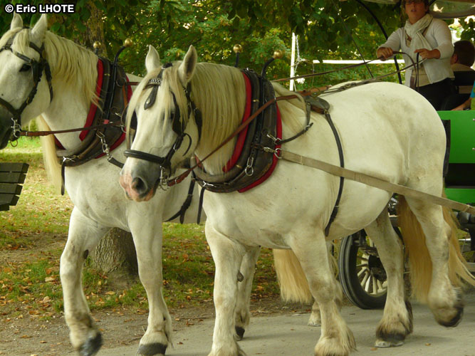 Cheval