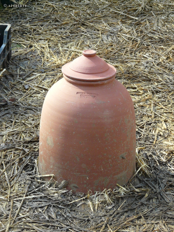 Cloche en terre cuite