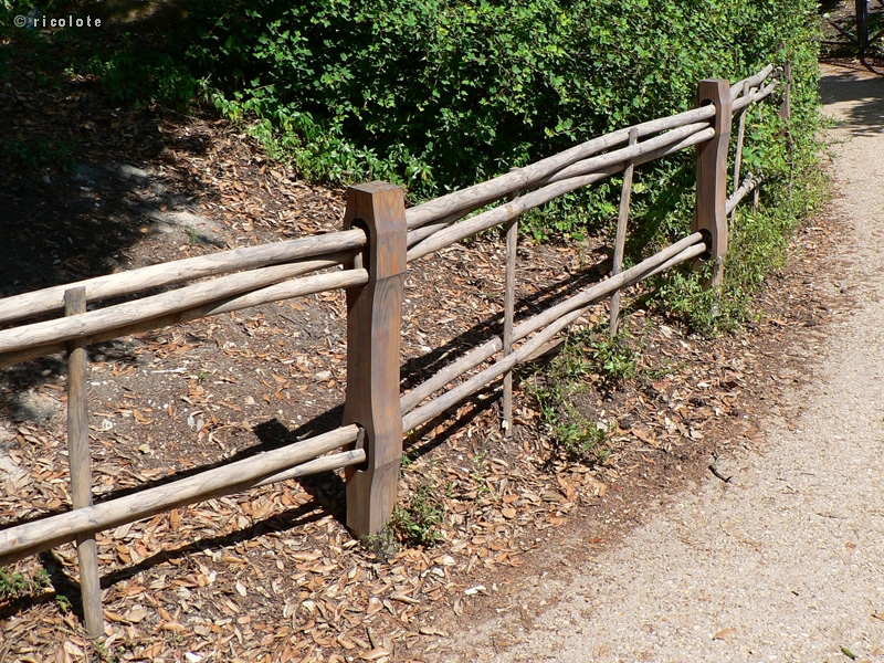 ClÃ´ture bois