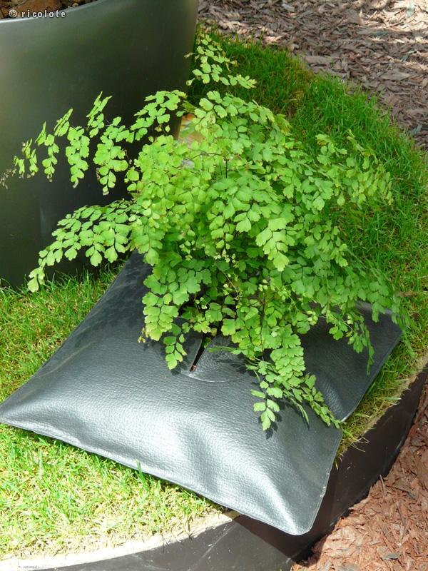 Coussin plantÃ©