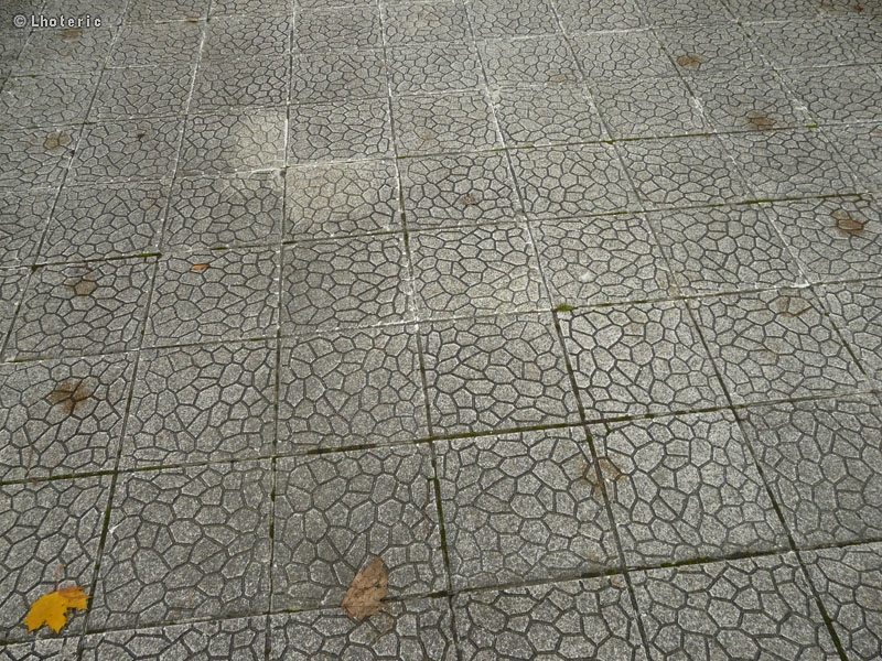Dallage bÃ©ton imprimÃ©