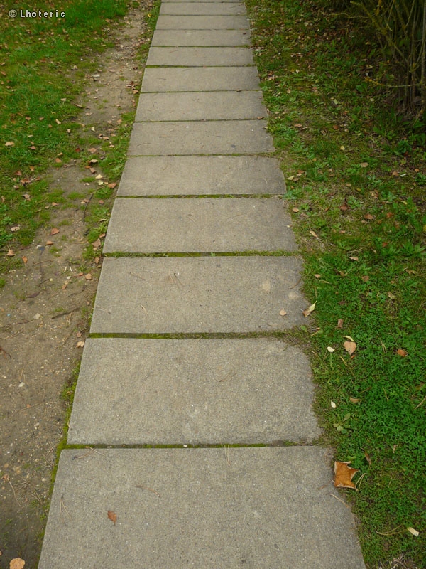 Dalles bÃ©ton