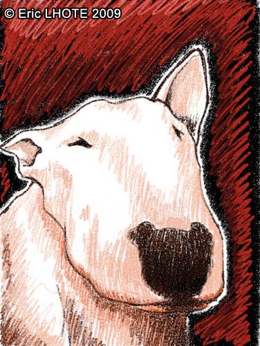 Dessin de bull terrier