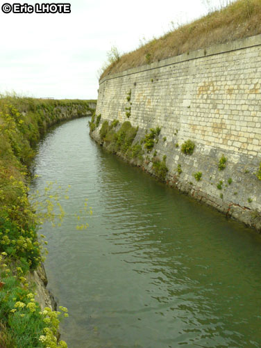 Douve