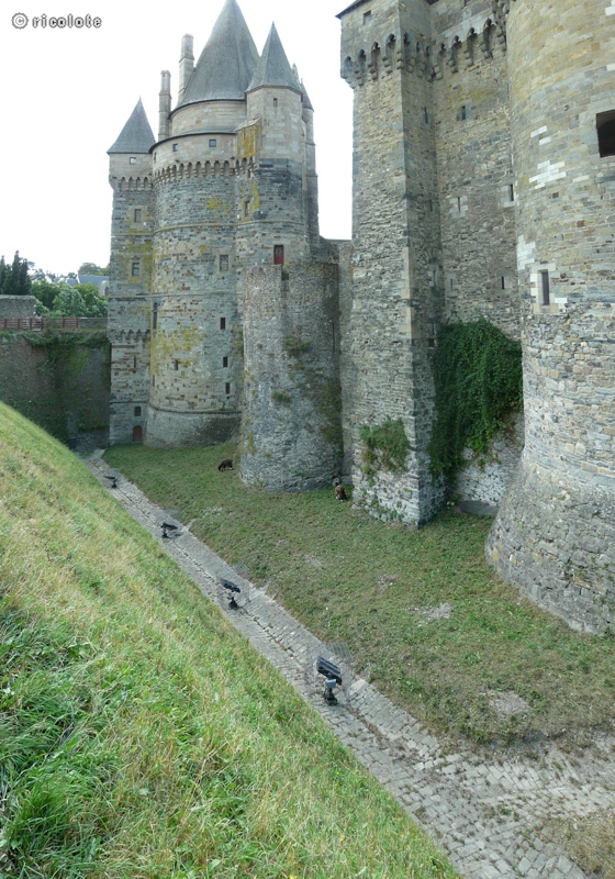 Douves du chÃ¢teau de VitrÃ©