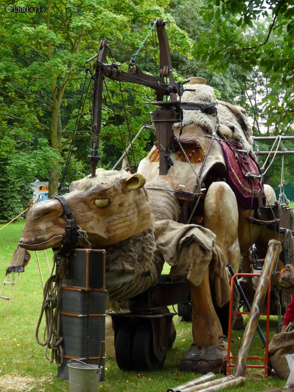 Dromadaire articulÃ©