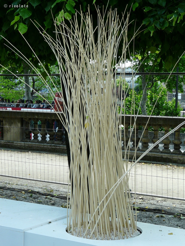 Fagot d'osier blanc