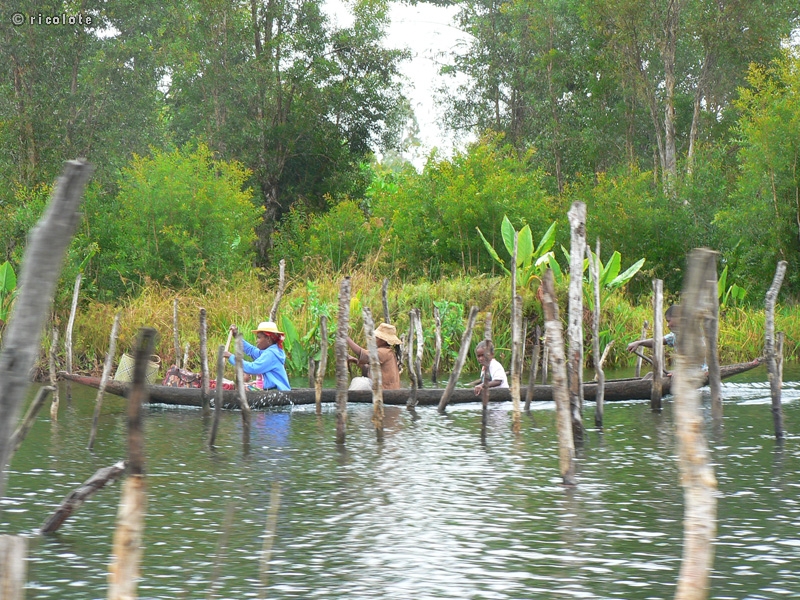 Famille en pirogue