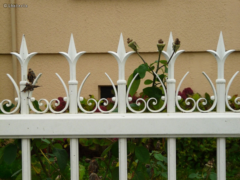 FlÃ¨ches en fer forgÃ©