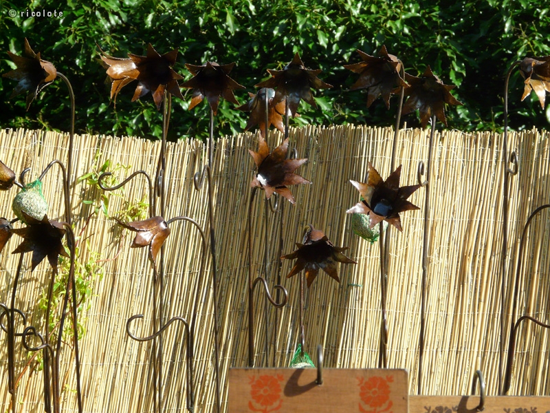 Fleurs en mÃ©tal