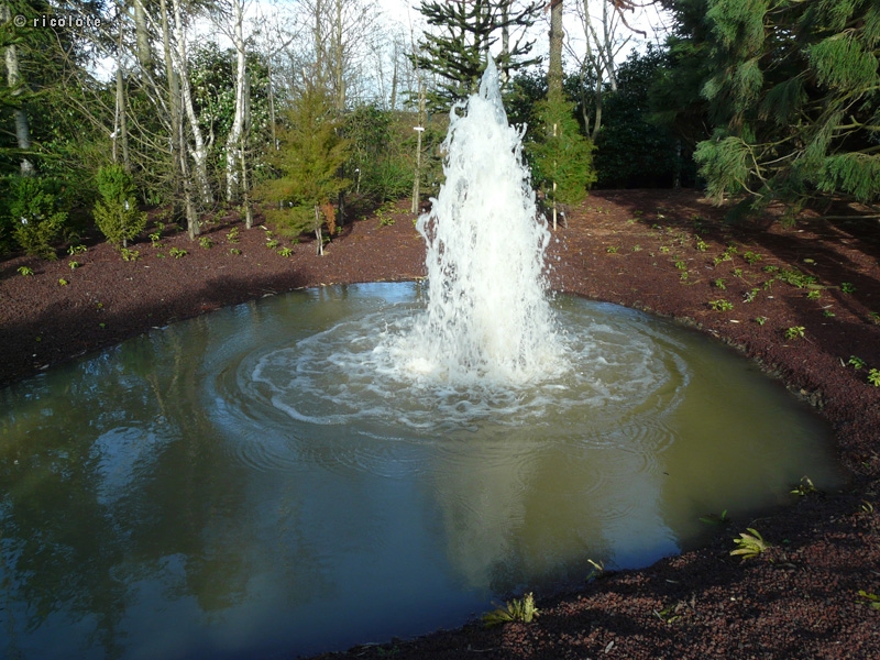 Geyser