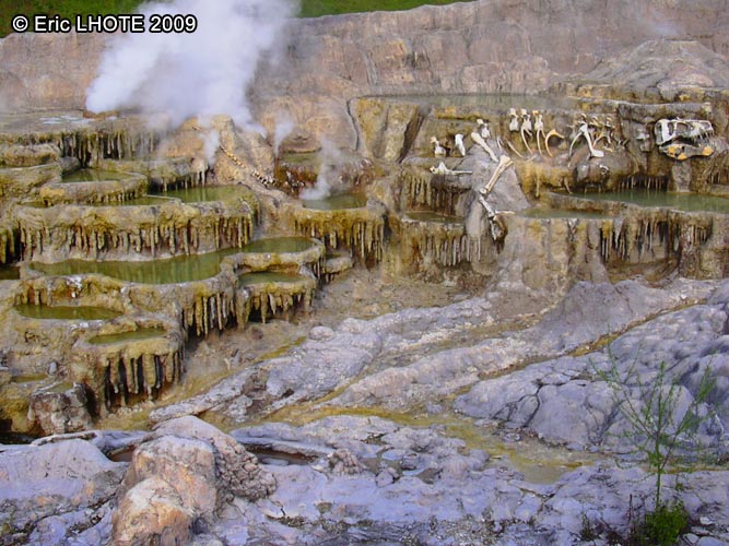Geysers, fumerolles et fossiles Ã  Disneyland
