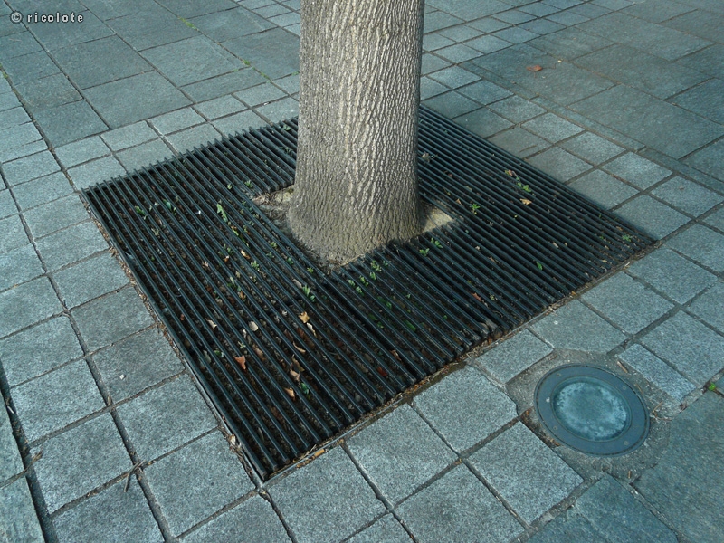 Grille d'arbre