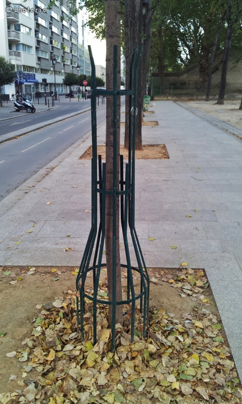 Grille de protection d'arbre en mÃ©tal