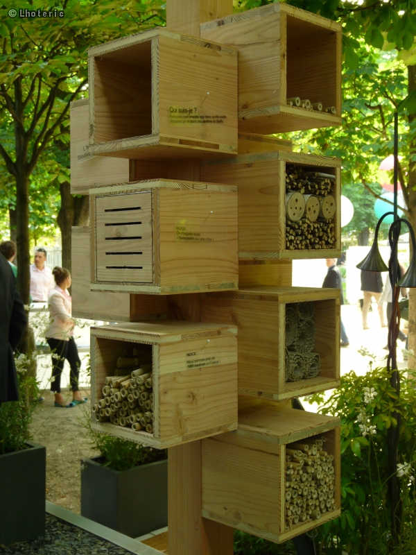 HÃ´tel Ã  insectes