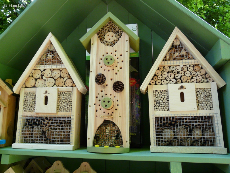 HÃ´tel Ã  insectes