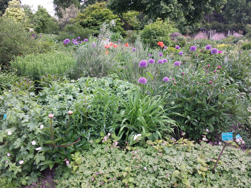 Jardin de vivaces Ã  Vincennes