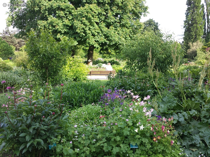 Jardin de vivaces Ã  Vincennes