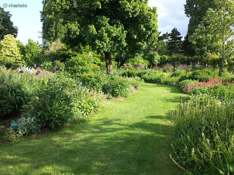 Jardin de vivaces Ã  Vincennes