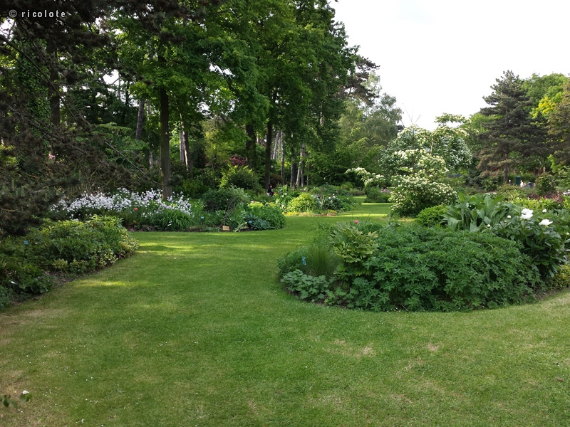 Jardin de vivaces Ã  Vincennes