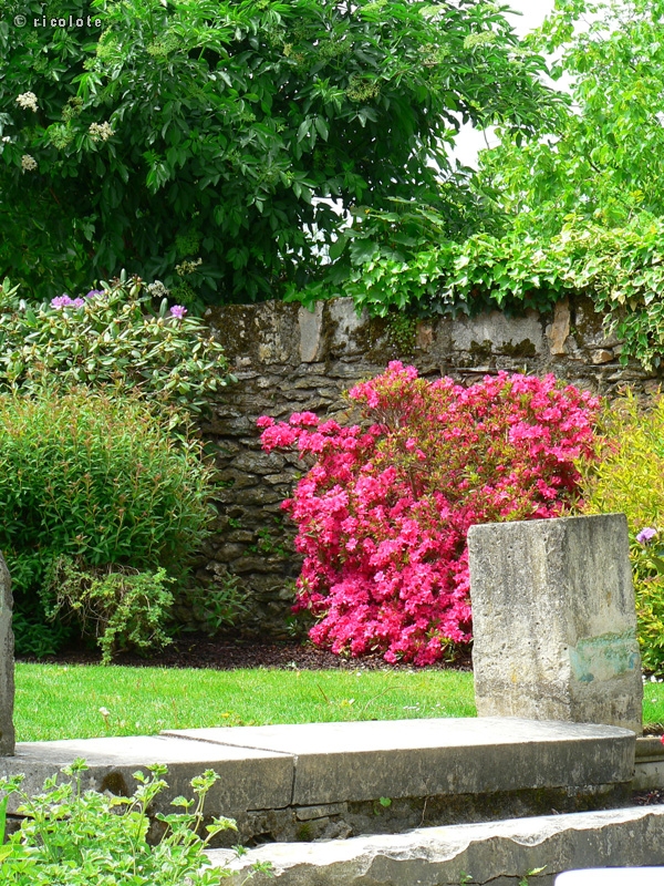 Jardin du Roi de Rome
