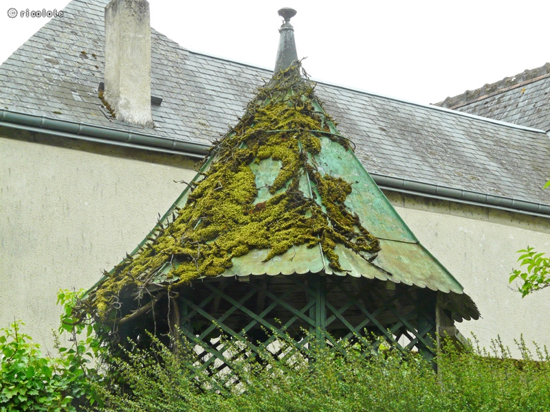 Kiosque couvert de mousses