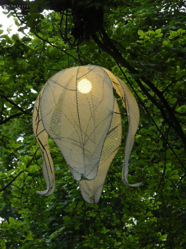 Lampion